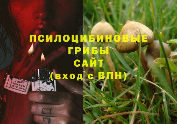 mix Вязьма