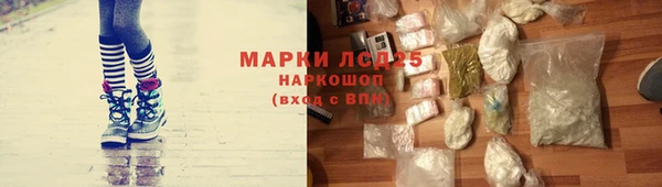 гидропоника Новокубанск