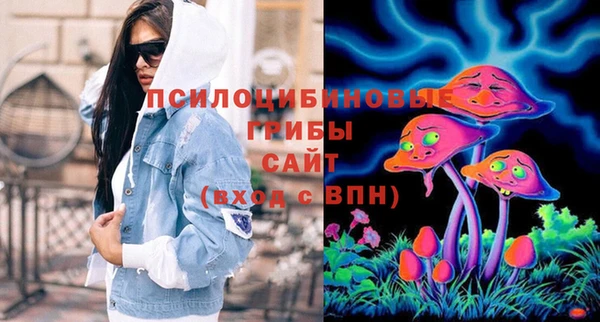 винт Гусев