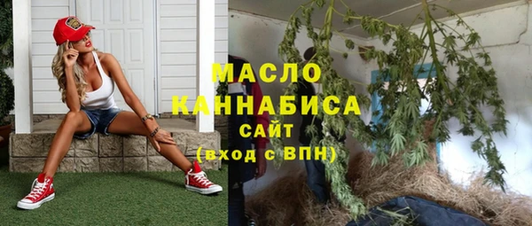 гидра Няндома