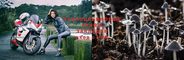 не бодяженный Новодвинск