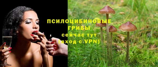 гидропоника Новокубанск