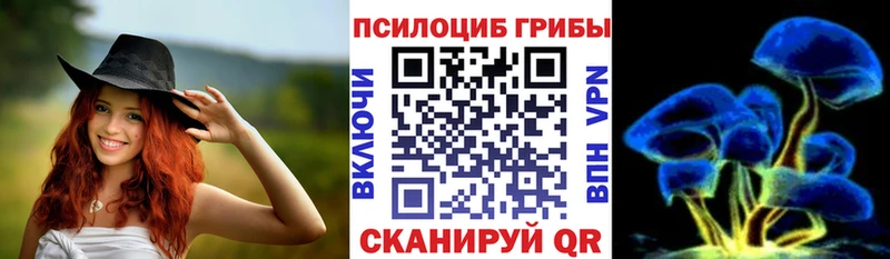 купить наркотик  блэк спрут как войти  Псилоцибиновые грибы Psilocybe  Арамиль 